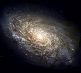 2. Spiral galaxies are disk-shaped and have dusty arms. Our galaxy is thought to be a spiral galaxy. Elliptical galaxies have a more featureless brightness profile, and look smoother.