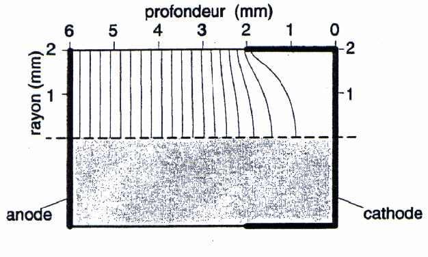 Weighting potentiel in coplanar device Depth (mm) Depth (mm) Radius (mm) (mm) anode anode cathode cathode CAPture