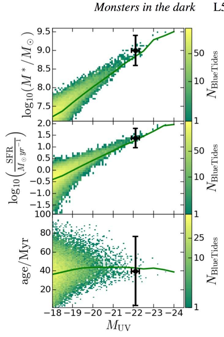 GN-z11 simulations show that galaxies as massive as GNz-11 at z~11 are rare but not unexpected per
