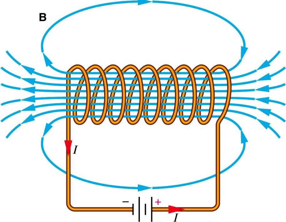 Magnetic Fields BB The magnetic field has both magnitude and direction.
