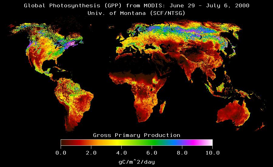 2-year movie reveals some fantastic seasonal cycles of plant growth, especially at high latitudes across North America, Europe, and Asia.