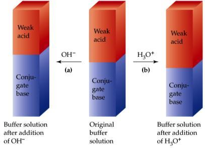 Buffer Capacity Buffer Range Buffers only work within a ph range set by the value of K a : ph = pk a ± 1 Outside this range, we see little buffering effect.