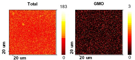 The positive ion TOF-SIMS spectrum of the ghost image area contained ions attributed to GMO as well as polydimethyl siloxane (PDMS) and stearamide.