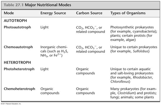 DIVERSE NUTRITIONAL AND METABOLIC ADAPTATIONS HAVE EVOLVED IN PROKARYOTES Prokaryotes can be categorized by how they obtain energy and carbon Phototrophs obtain energy from light Chemotrophs obtain