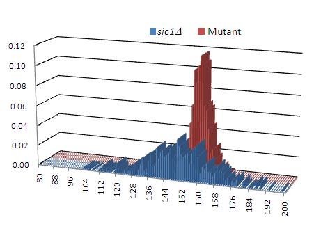 Figure 15: Comparison of deterministic and stochastic average values robust cell cycles of sic1 cells. Figure 16: Distribution of cell cycle time for wild type and mutant 5.