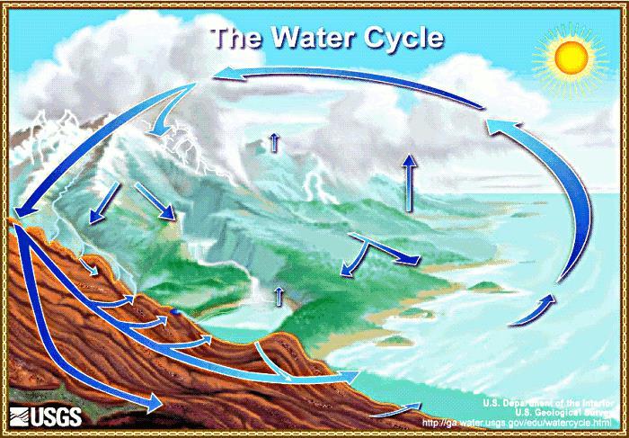 The water cycle is the movement of water into the air as water vapor and back to Earth s surface as precipitation.