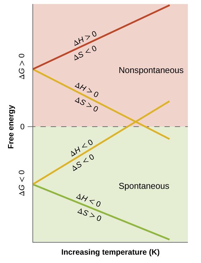 Chapter 16 Thermodynamics 901 Figure 16.13 These plots show the variation in ΔG with temperature for the four possible combinations of arithmetic sign for ΔH and ΔS. Example 16.