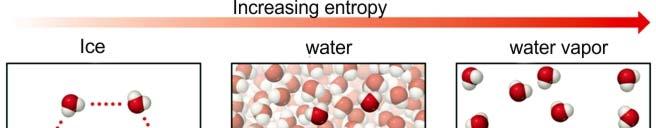 Entropy and Physical States Entropy increases with the freedom of motion of