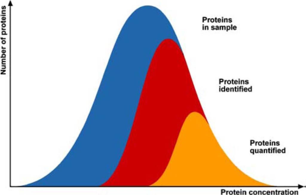 Current limitations of MS-based Proteomics Cellular proteins span a wide range of expression and current mass spectrometric technologies typically sample only a fraction of all the