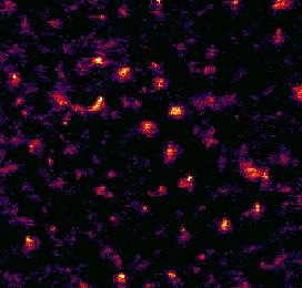 Single DiI dye molecule fluorescence in 1-D photonic bandgap cholesteric liquid crystal host 3 184.0 140.