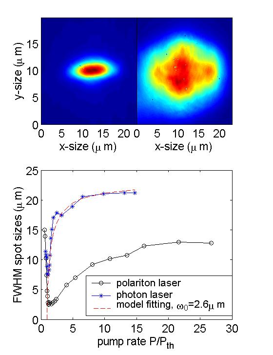 Exciton Polariton Condensation vs. Photon Laser (4) Proc.