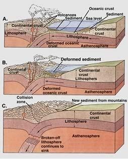 Continental Lithosphere Will NOT Flush Down Subduction Zones Orogeny Folds Rocks Review: New