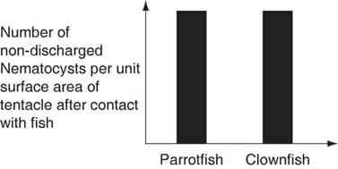 89) The clownfish readily swims among the tentacles of the sea anemones; the parrotfish avoids them.