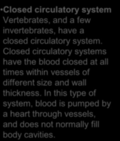 Closed circulatory system Vertebrates, and a few invertebrates, have a closed circulatory system.