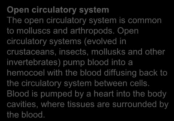 Open circulatory systems (evolved in crustaceans, insects, mollusks and other invertebrates) pump blood into a