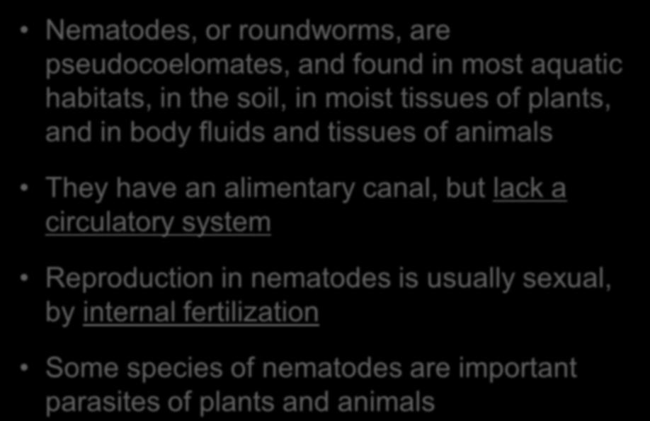Phylum Nematoda (roundworms) Nematodes, or roundworms, are pseudocoelomates, and found in most aquatic habitats, in the soil, in moist tissues of plants, and in body fluids and tissues of animals