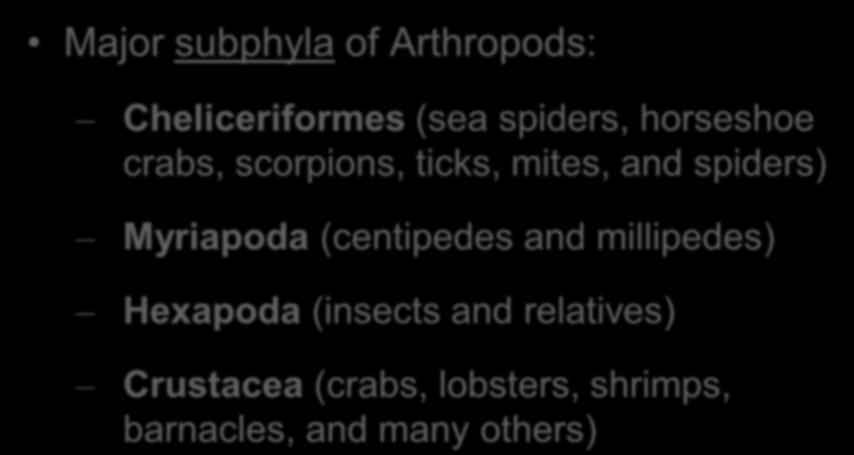 Major subphyla of Arthropods: Cheliceriformes (sea spiders, horseshoe crabs, scorpions, ticks, mites, and spiders) Myriapoda