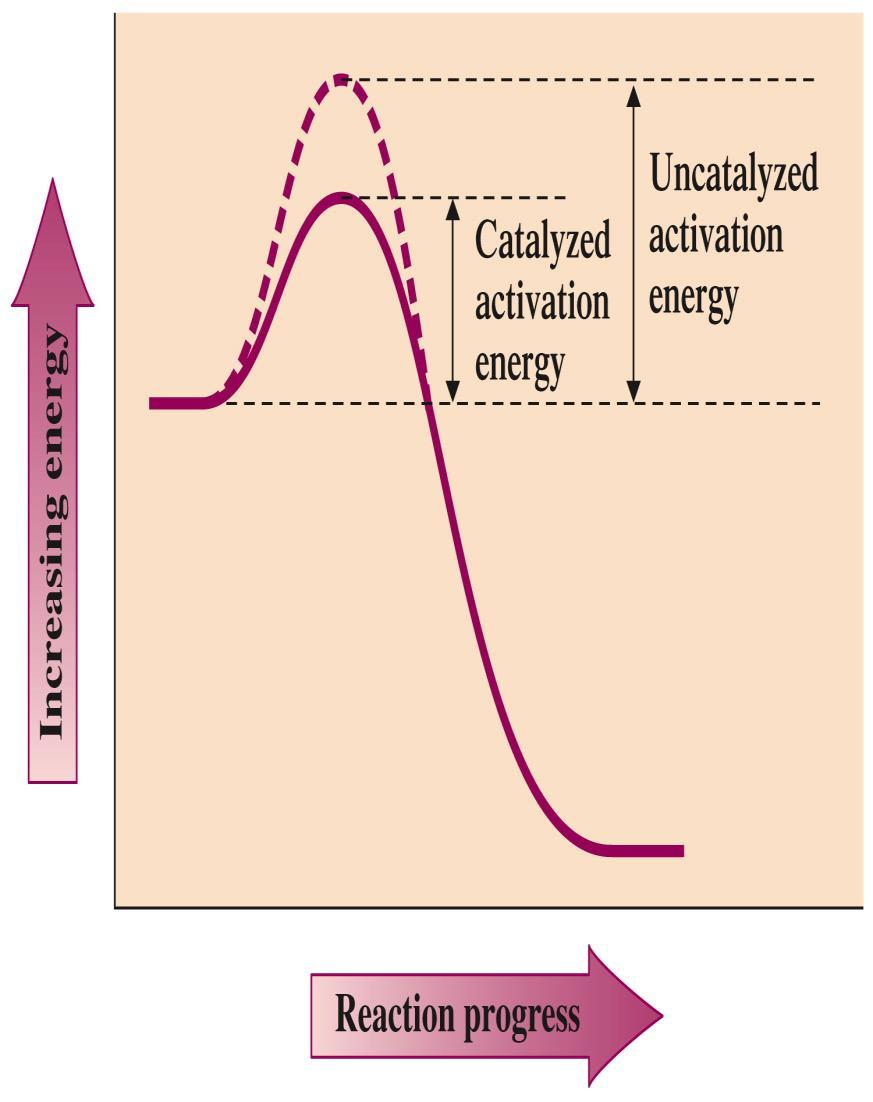 Chemical reaction rate Catalysts Catalysts lower the activation energy Energy needed from the molecular collisions to begin the chemical reaction