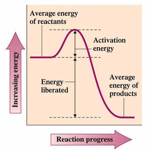 Exothermic vs endothermic reactions Exothermic Reaction Exothermic reactions release energy (often in the form of heat) The products of