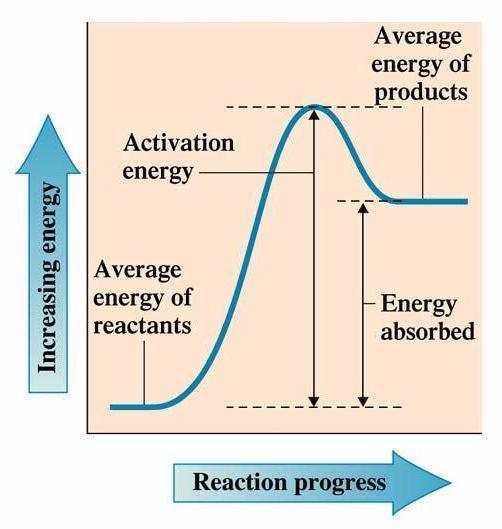Exothermic vs endothermic reactions Endothermic Reaction Endothermic reactions absorb energy The products of an