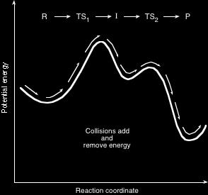 Figure 6.2 An energy surface describing a reaction coordinate involving a reactive intermediate, I and two transition states, TS 1 and TS 2.