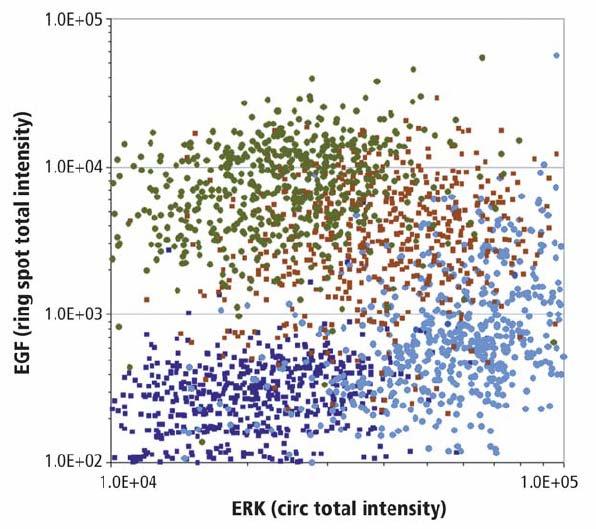 20 3/1/2005 Scatter plot showing the ERK and EGF responses for HeLa cells at