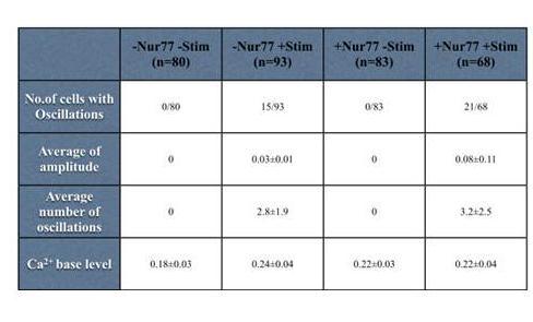 Table 1 Statistics summarizing Figure 2.2. Nur77 alone increases baseline calcium level.