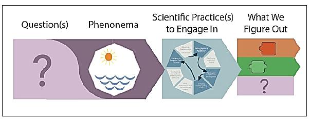Using Phenomena to Develop Coherence