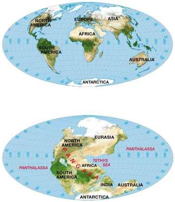 Evidence for Continental Drift Wegener proposed Pangaea one large continent existed 200 million