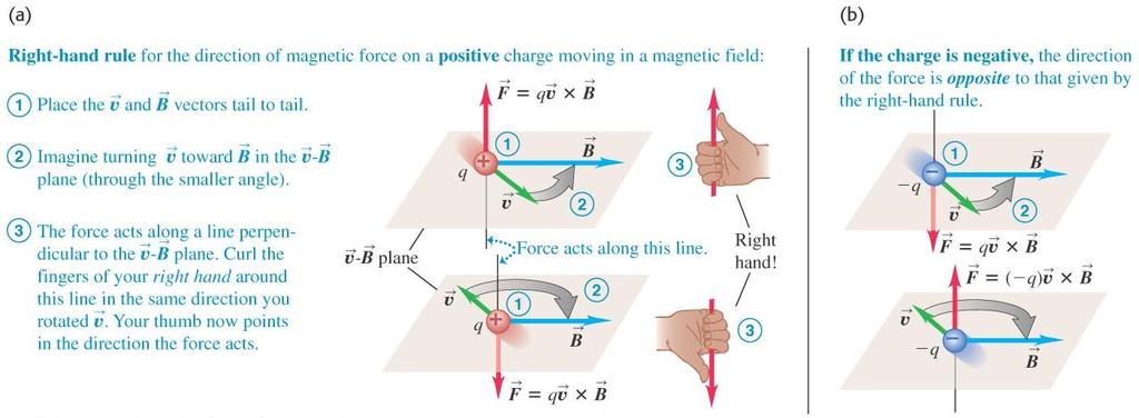 The right-hand rule I This is for a positive charge moving in a magnetic field. Place your hand out as if you were getting ready for a handshake.