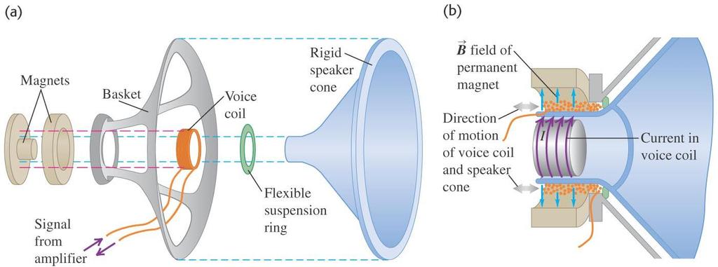Loudspeakers Similar to ear buds To create music, we need longitudinal pulses in the air.