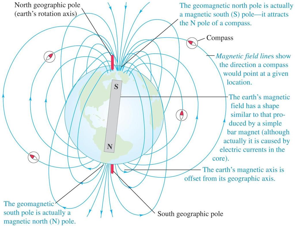 The magnetic poles about