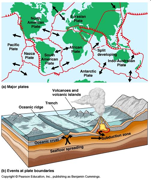 Tectonic Plates The crust of the Earth is made up of various plates of various sizes, that all "float" on