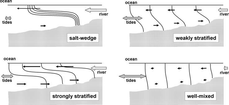 Definition and classification of estuaries 5 Figure 1.3. Classification of estuaries on the basis of vertical structure of salinity.