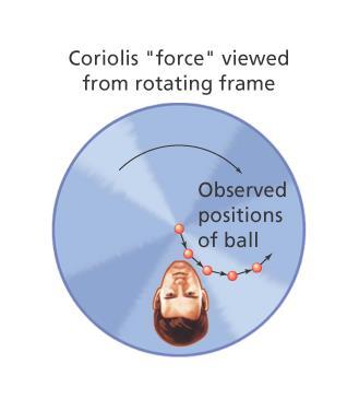 8.3 Equilibrium The Coriolis Force An observer stationed on the disk and rotating with it sees the ball follow a curved path at a constant speed. A force seems to be acting to deflect the ball.