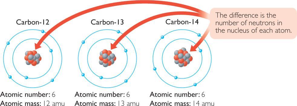 isotopes Atoms of an element that have different numbers of neutrons are known as isotopes.