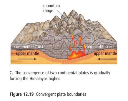 Continental-Continental Plate Convergence As densities are typically similar, this convergence will result in