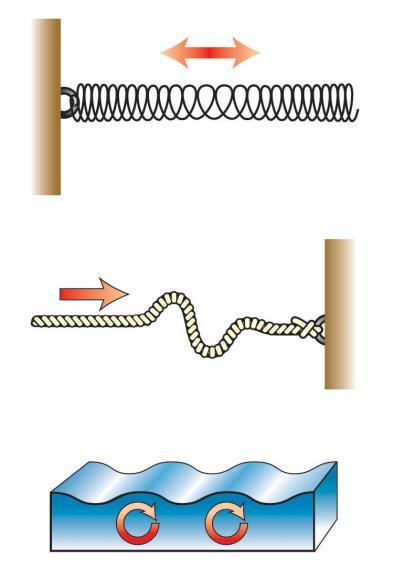 Forms of Waves Produced by Earthquakes Primary wave P Type of body wave First to arrive (fastest) Ground squeezes and