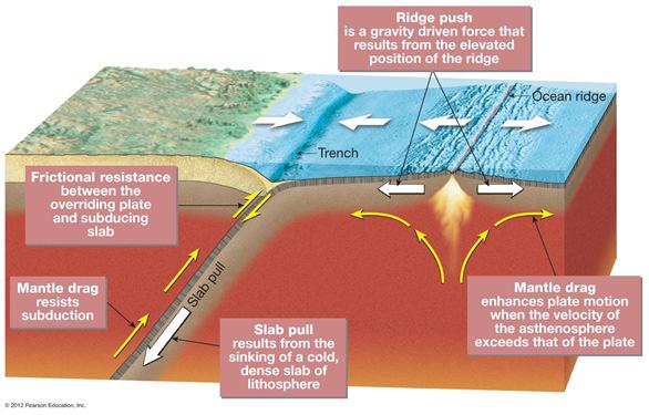 Earth s heat is the driving force Several models have been proposed Slab-pull and ridge-push model