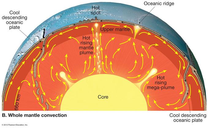 boundary and cause convection within the mantle Models 1.