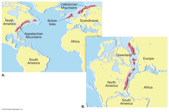 Continental drift: an idea before its time Wegener s continental drift hypothesis 4 Evidences used by Wegener Fit of South America and Africa Fossils match across the seas Rock types and structures