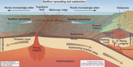 outer por;on of Earth consists of number of thick slabs of rock (tectonic plates) that slowly