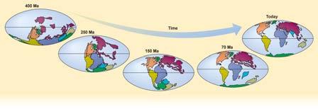 Mo;on - Over Geologic Time Plates move 2-10 cm/year; Over geologic