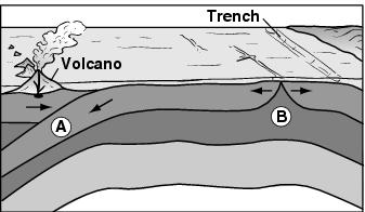 New oceanic crust is being formed along the mid-ocean ridge as two oceanic plates diverge. D. New oceanic crust is being formed along the mid-ocean ridge as two oceanic plates converge. E.