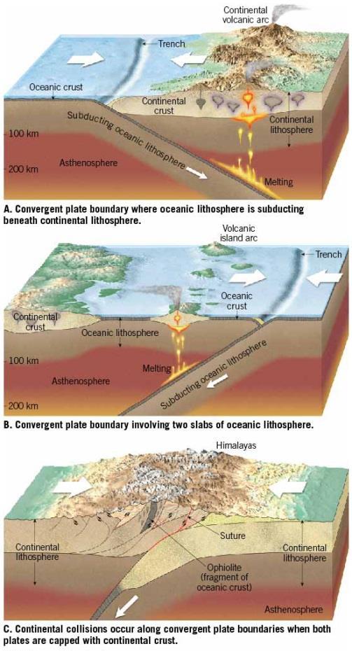 Convergent Plate Boundaries and Subduction Characteristics of convergent plate boundaries vary