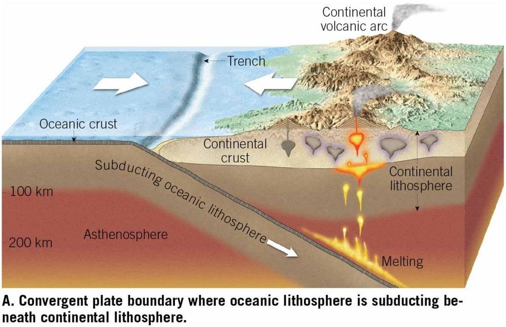 Convergent Plate Boundaries and Subduction Oceanic Continental Convergence subduction of oceanic lithosphere Continental lithosphere is less dense