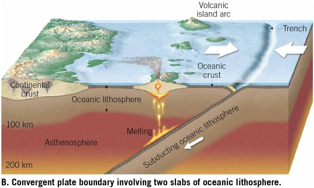 Convergent Plate Boundaries and Subduction Oceanic-Oceanic Convergence One slab subducts under another