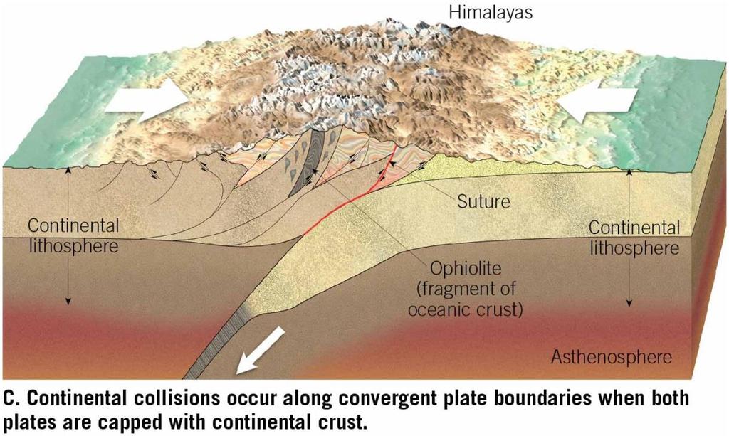 Convergent Plate Boundaries and Subduction Continent-Continent Convergence Neither plate