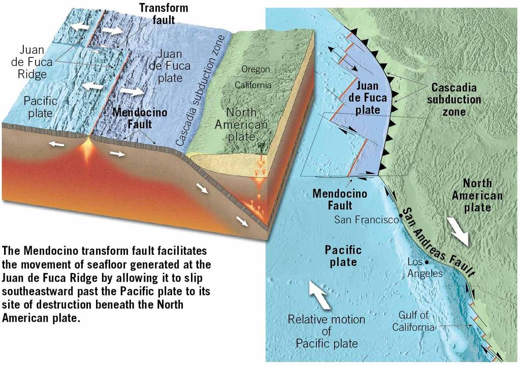 A few Transform Faults,the San Andreas fault and the