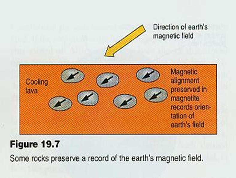 Testing the Plate Tectonics Model Today North and South magnetic poles align approximately with geographic North and South poles Iron-rich minerals influenced by magnetic pole Basalt erupts above the